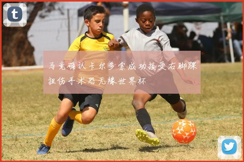 马竞确认卡尔多索成功接受右脚踝扭伤手术恐无缘世界杯