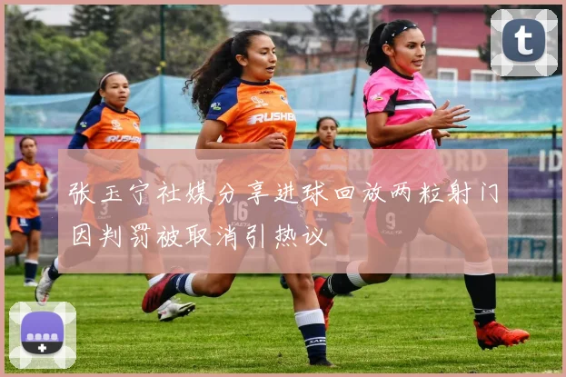 张玉宁社媒分享进球回放两粒射门因判罚被取消引热议